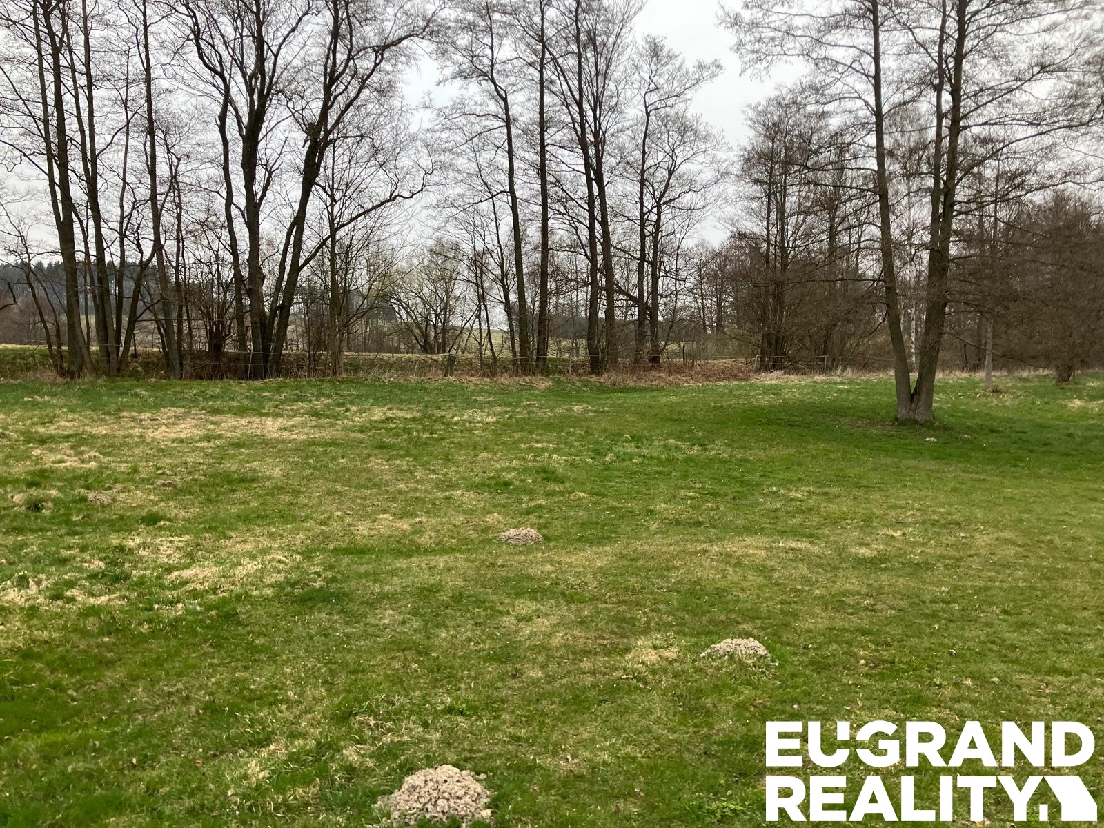 PHOTO-2026-04-10-19-44-02 3