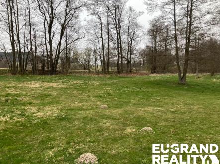 PHOTO-2026-04-10-19-44-02 3 | Prodej - pozemek pro bydlení, 4 738 m²