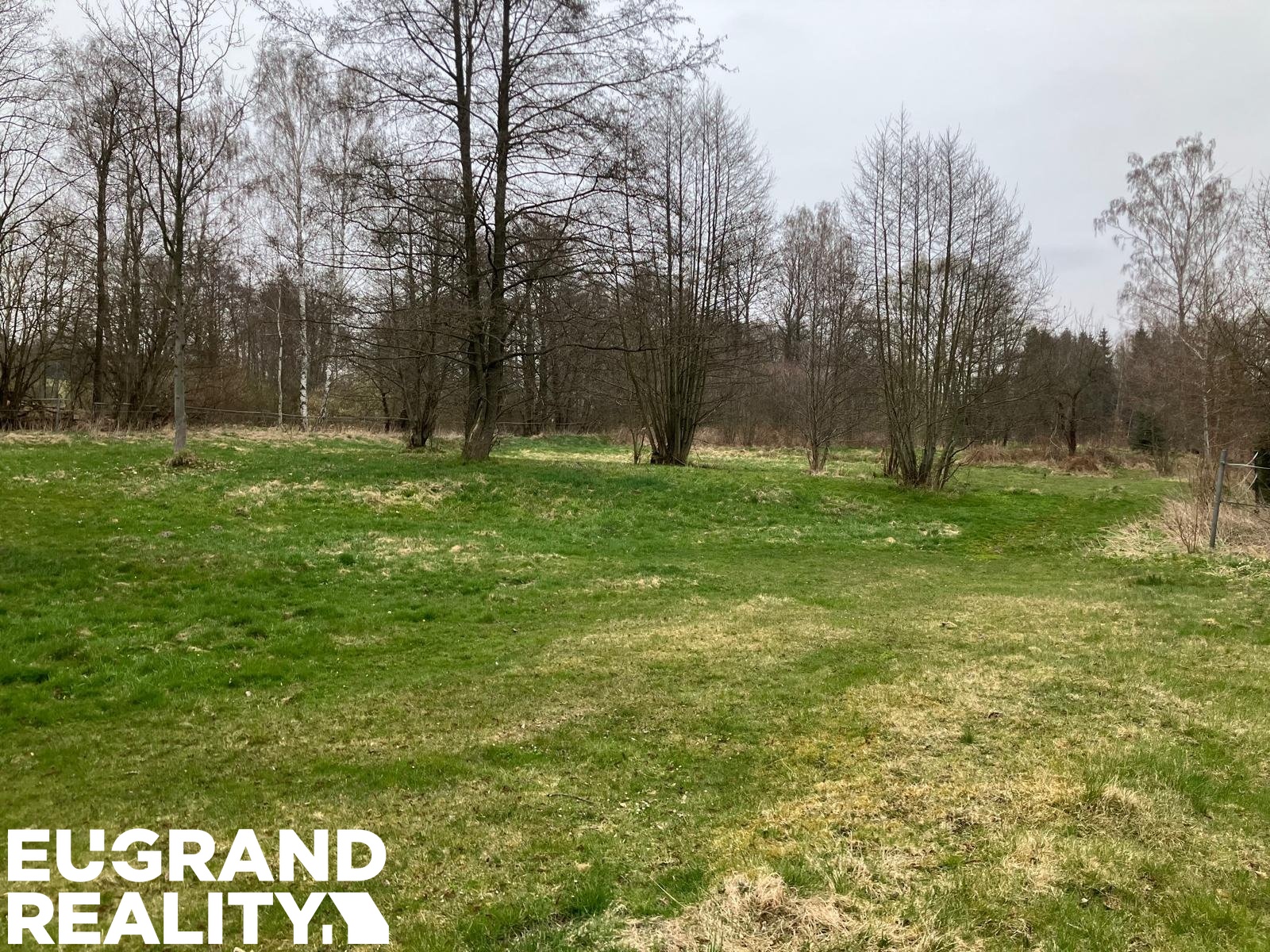 PHOTO-2026-04-10-19-44-02 4