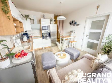 IMG_6657 | Pronájem bytu, 1+1, 45 m²