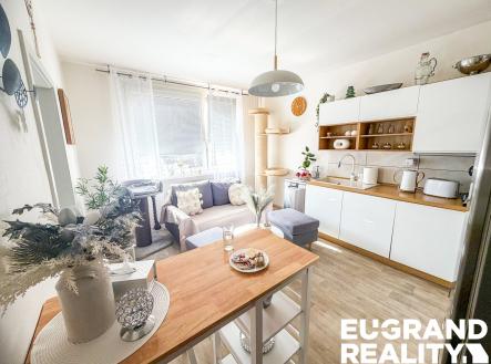 IMG_6623 | Pronájem bytu, 1+1, 45 m²