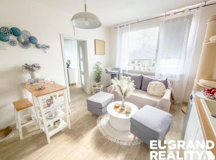 IMG_6653 2 | Pronájem bytu, 1+1, 45 m²