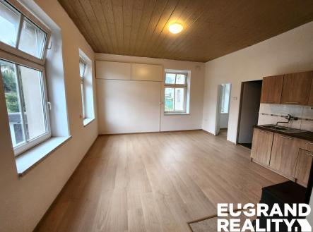 20240911_152038 | Pronájem bytu, 4+kk, 100 m²
