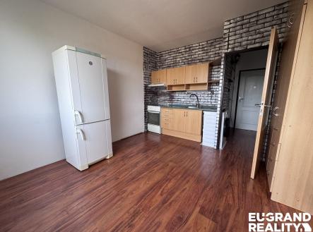 IMG_0333 | Pronájem bytu, 1+1, 37 m²