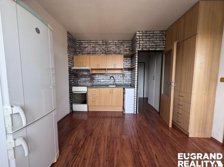IMG_0331 | Pronájem bytu, 1+1, 37 m²