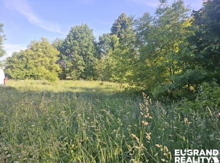 20260606_083155 | Prodej - pozemek pro bydlení, 2 930 m²