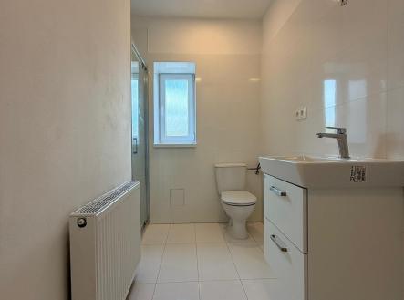 WhatsApp Image 2026-06-18 at 13.38.27 (10) | Pronájem bytu, 3+kk, 58 m²