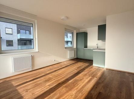 Pronájem bytu, 2+kk, 53 m²