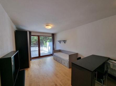 Pronájem bytu, 1+kk, 33 m²