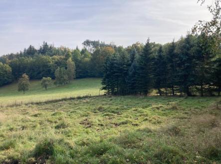 Prodej - pozemek pro bydlení, 1 390 m² obrázek