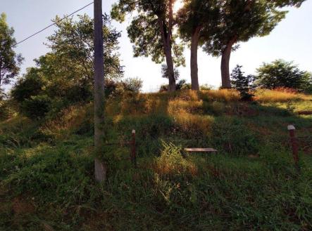 Luhov.JPG | Prodej - pozemek, zahrada, 480 m²