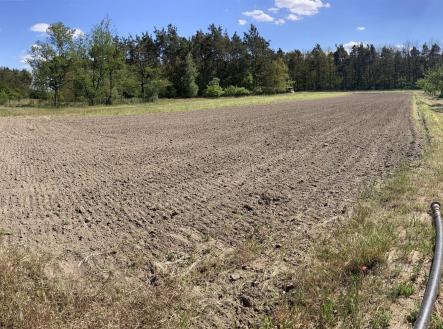 IMG_4320.JPG | Prodej - pozemek pro bydlení, 2 600 m²