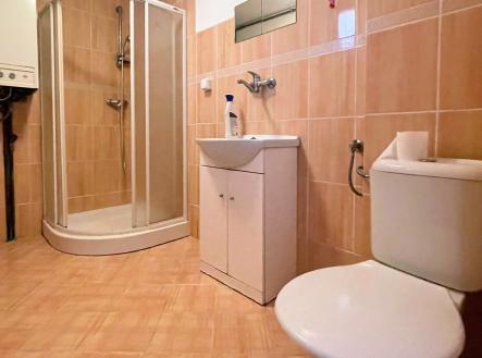 IMG_8092 | Prodej bytu, 2+kk, 58 m²
