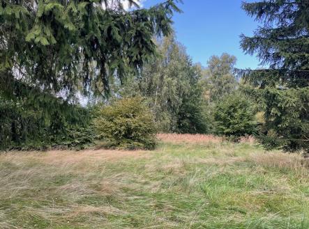 IMG_6622 | Prodej - pozemek pro bydlení, 1 000 m²