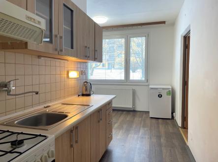 IMG_8851 | Pronájem bytu, 1+1, 45 m²