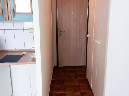 1000011226 | Pronájem bytu, 1+kk, 20 m²