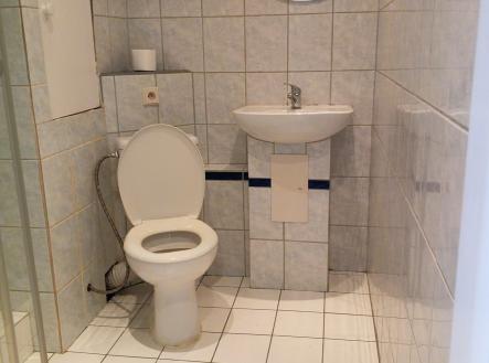 1000011220 | Pronájem bytu, 1+kk, 20 m²