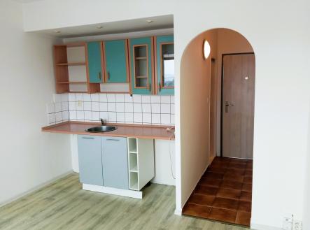 Pronájem bytu, 1+kk, 20 m²