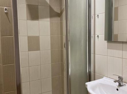 IMG_1145.JPEG | Pronájem bytu, 2+1, 56 m²