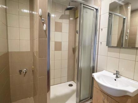 IMG_6705 | Pronájem bytu, 2+1, 56 m²