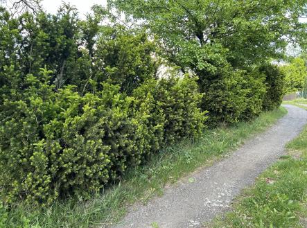 IMG_9691 | Prodej - pozemek, zahrada, 376 m²