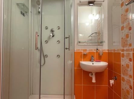 IMG_2113 | Pronájem bytu, 1+1, 40 m²