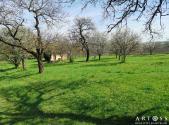 Prodej - pozemek, zahrada, 2 257 m²