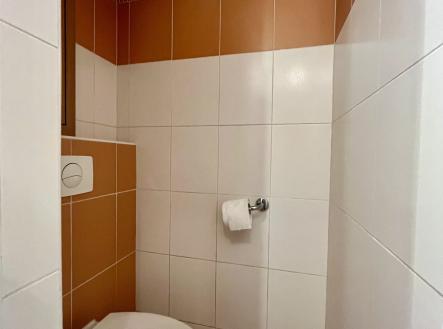 IMG_6317 | Pronájem bytu, 1+1, 36 m²