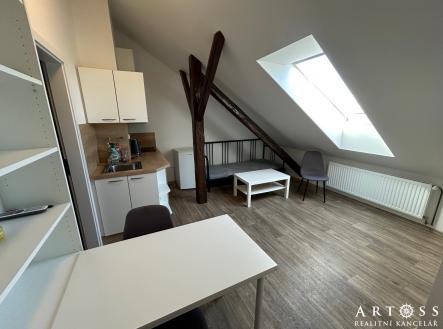 IMG_8018 | Pronájem bytu, 1+kk, 22 m²