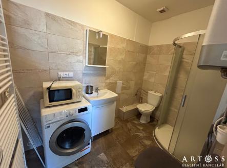 IMG_8015 | Pronájem bytu, 1+kk, 22 m²