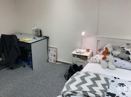 36fe6927-4e6d-4292-a3fb-d16716731944 | Pronájem bytu, 1+kk, 22 m²