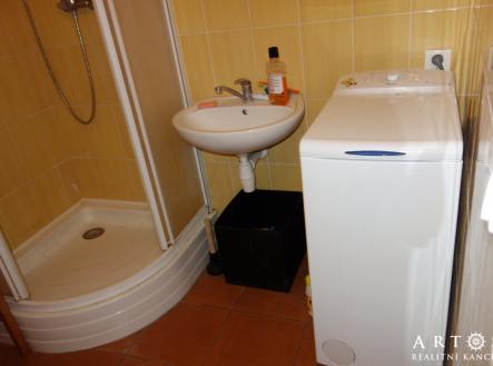 DSC04277 | Pronájem bytu, 1+kk, 22 m²