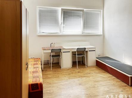 IMG_9102 | Pronájem bytu, 1+kk, 20 m²