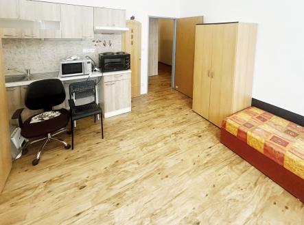 IMG_9103 | Pronájem bytu, 1+kk, 20 m²