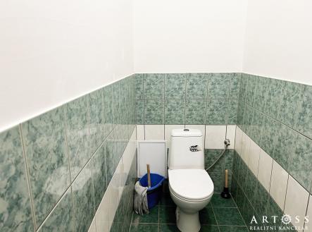 IMG_9106 | Pronájem bytu, 1+kk, 20 m²