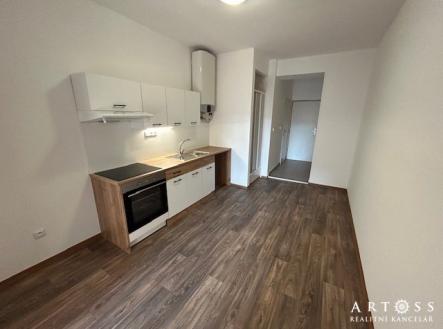 IMG_1480 | Pronájem bytu, 1+1, 39 m²