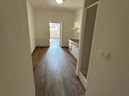 IMG_1478 | Pronájem bytu, 1+1, 39 m²