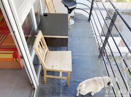 IMG-9774 | Pronájem bytu, 1+kk, 25 m²