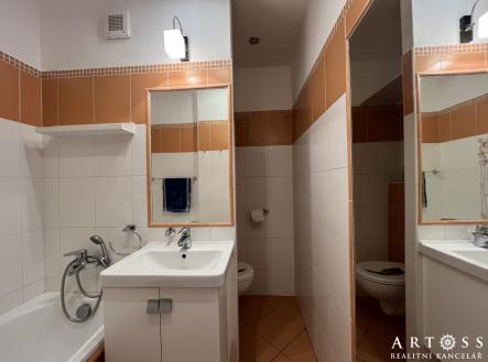 IMG_6315 | Pronájem bytu, 1+1, 36 m²