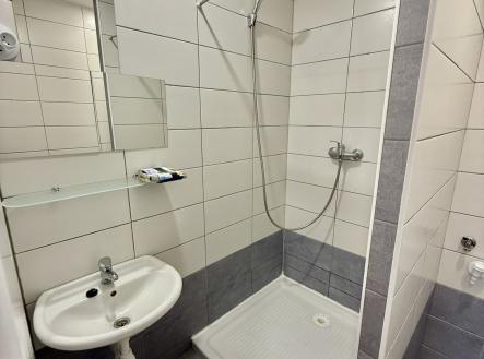 IMG_1765 | Pronájem bytu, 2+1, 59 m²