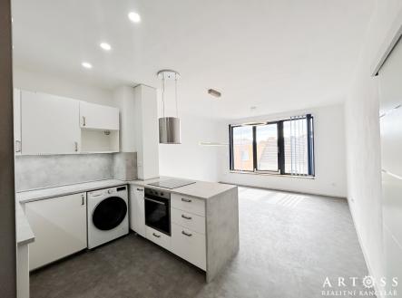 IMG_4141 | Pronájem bytu, 3+kk, 67 m²