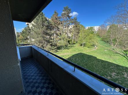 IMG_2450 | Pronájem bytu, 2+1, 59 m²