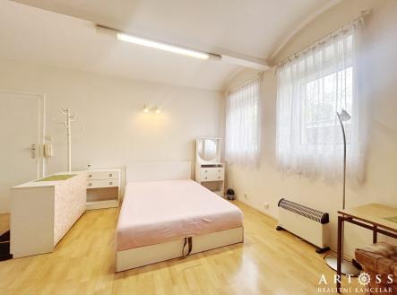 IMG_4175 | Pronájem bytu, 1+kk, 25 m²