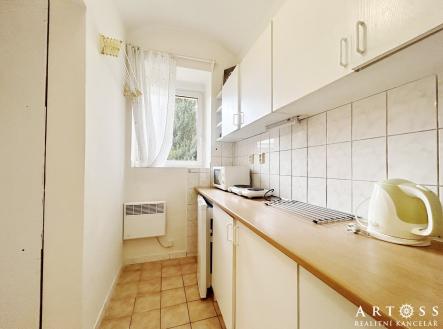 IMG_4169 | Pronájem bytu, 1+kk, 25 m²