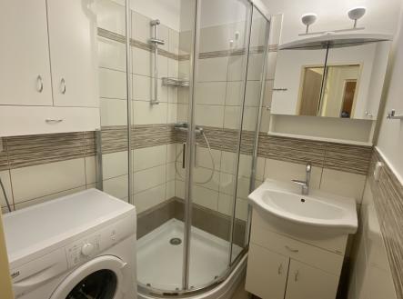 IMG_2083 | Pronájem bytu, 1+1, 42 m²
