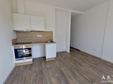 merhautova-08302022_110145 | Pronájem bytu, 1+kk, 22 m²