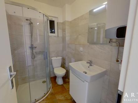 merhautova-08302022_110128 | Pronájem bytu, 1+kk, 22 m²