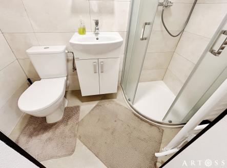 IMG_4771 | Pronájem bytu, 1+kk, 23 m²