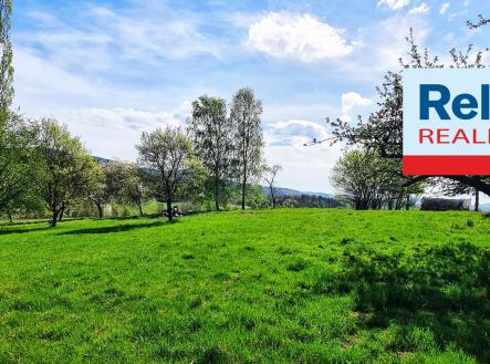 N50410_pohled na jih | Prodej - pozemek pro komerční výstavbu, 2 420 m²