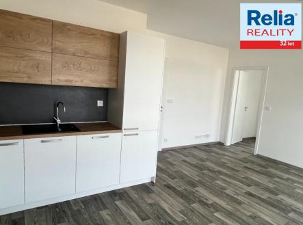 N49776_26 | Pronájem bytu, 3+kk, 65 m²